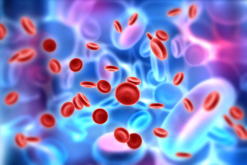 تصویری کامپیوتری از گلبول های قرمز خون در بدن