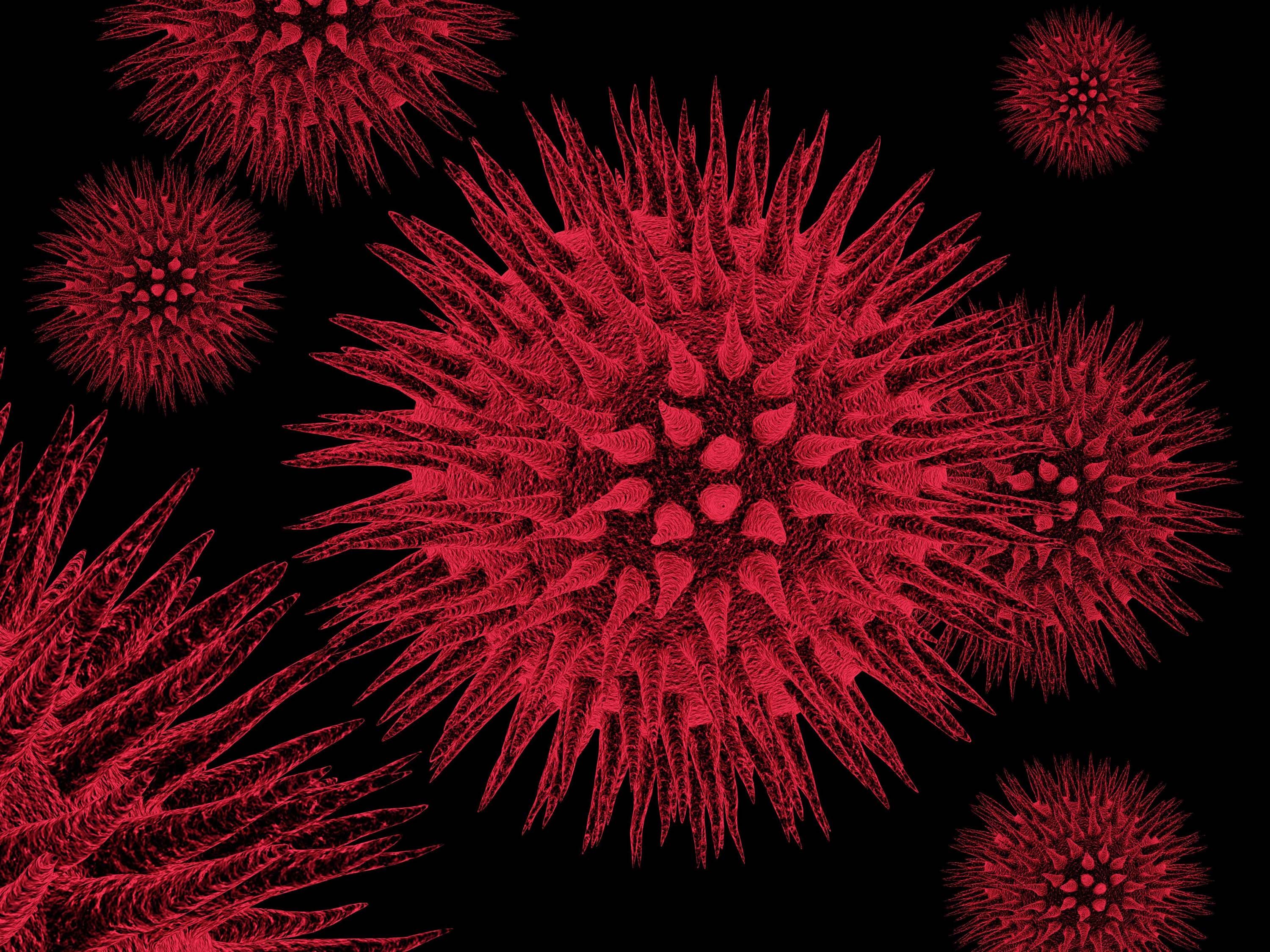 عکسی سه بعدی از ویروس کرونا