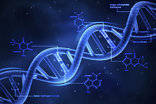 تصویری کامپیوتری از یک رشته DNA