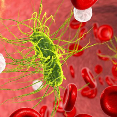 تصویری  کامپیوتری از آزمایش blood culture