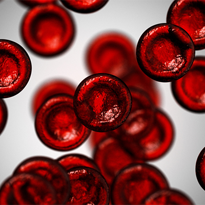 تصویری زیبا از گلبول های قرمز خون