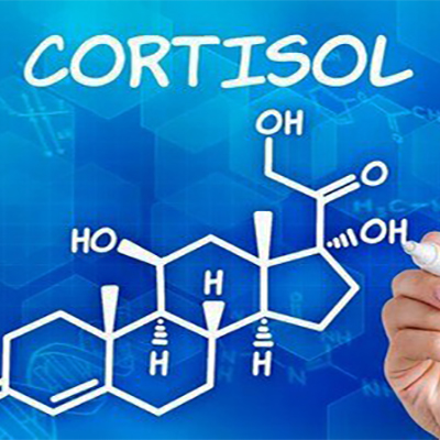 یک عکس که روی آن نوشته شده cortisol