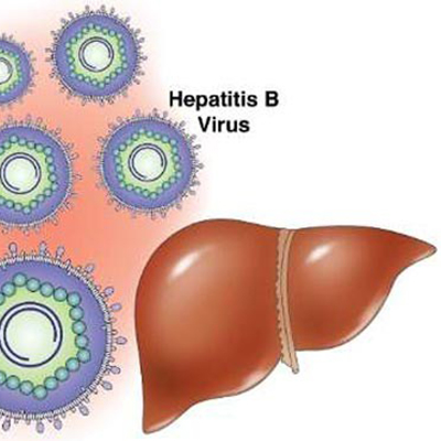 تصویری از یک کبد و ویروس هپاتیت