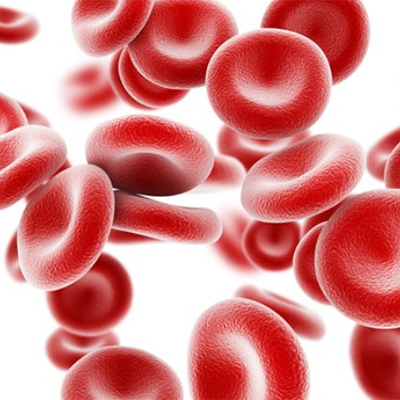 تصویری از گلبول های قرمز خون