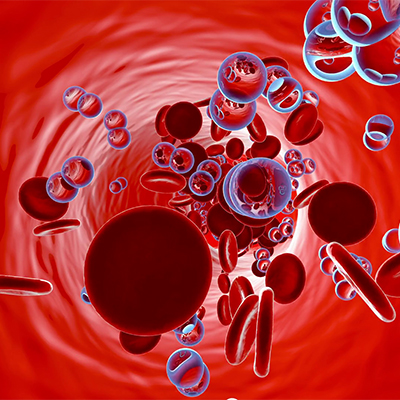تصویری از گلبول های قرمز خون و اسید لاکتیک در کنار آنها