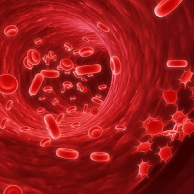 تصویری از گلبول های قرمز خون در رگ به صورت سه بعدی