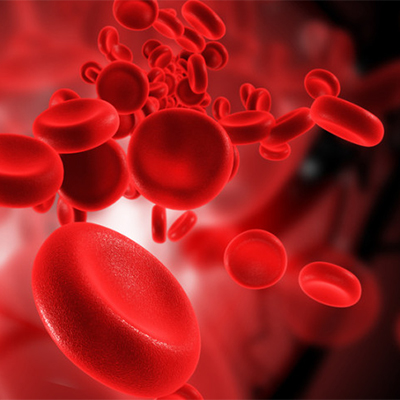 تصویری از گلبول های قرمز خون