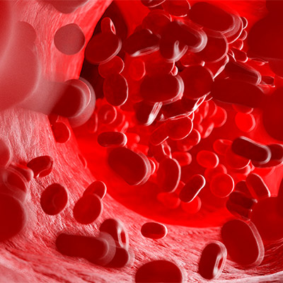 تصویری سه بعدی از گلبول های قرمز در رگ