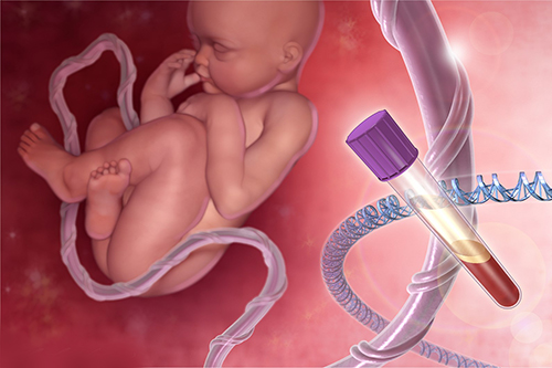 تصویری سه بعدی از یک جنین در رحم مادر بهمراه شیشه خون و رشته DNA