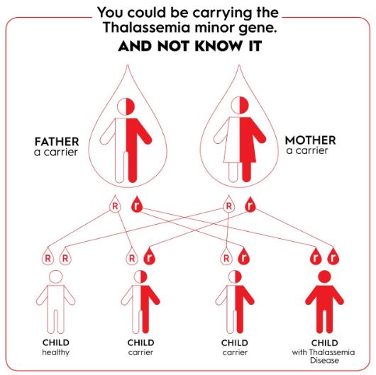 الگوی توارث ژنتیکی بیماری تالاسمی