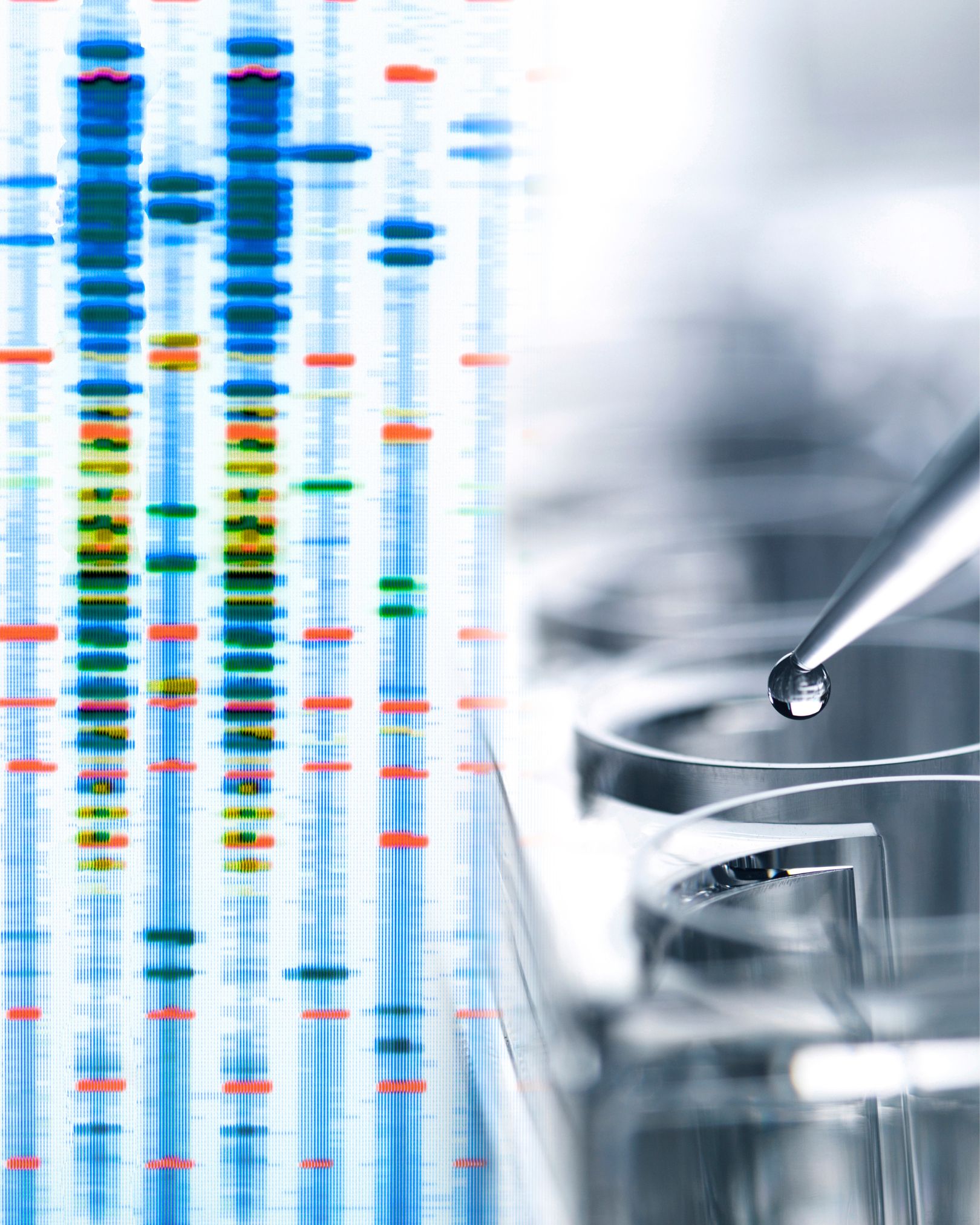 مارکرهای ژنتیکی برای تعیین ابوت یا Paternity test